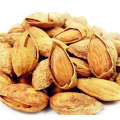 Nutritious nuts raw almond nuts in shell